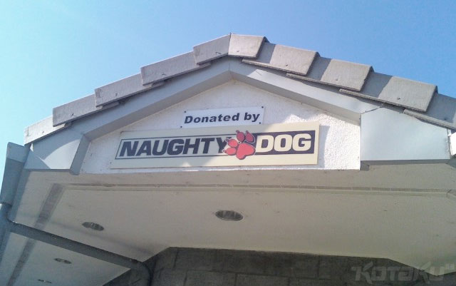 Naughty dog новые проекты